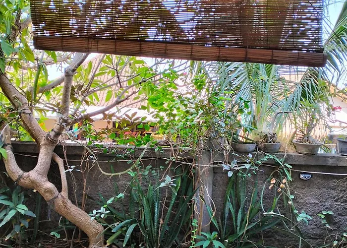 Dharma Yoga Homestay Dan Hostel